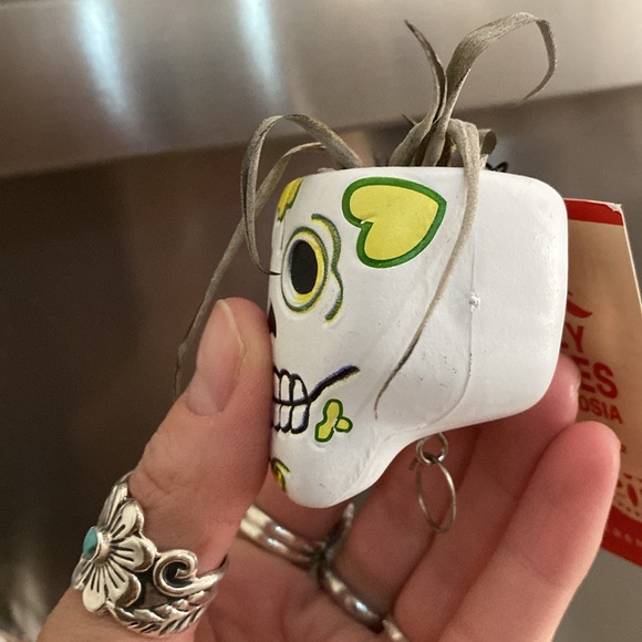 🌼 NWT Trader Joe’s air plant planter lazy bones planter - Picture 4 of 9